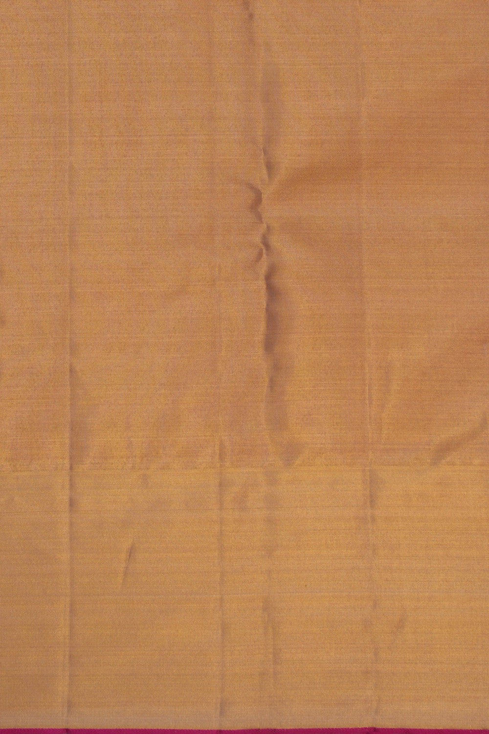 Image of Kanchipattu Tissue Brocade Gold Saree